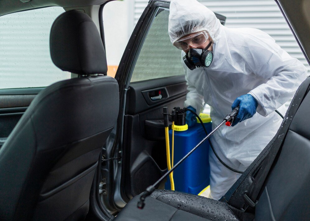 Effective Mold Removal Tips for Your Car